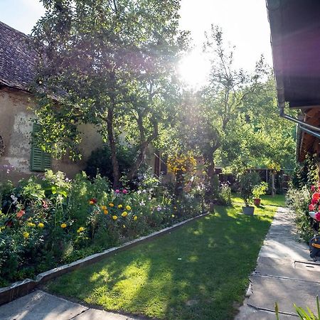 Villa Rihuini Eco Wine House Transylvania Richisu Екстериор снимка