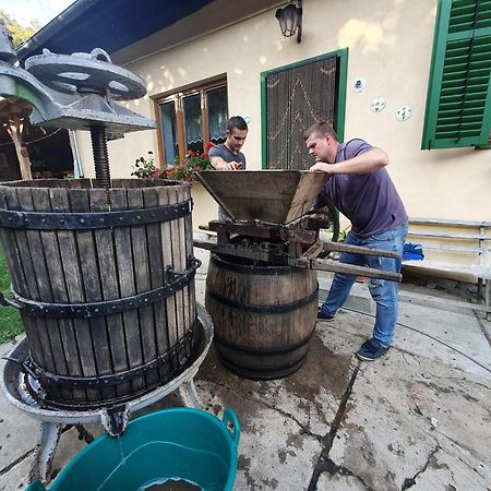 Villa Rihuini Eco Wine House Transylvania Richisu Екстериор снимка
