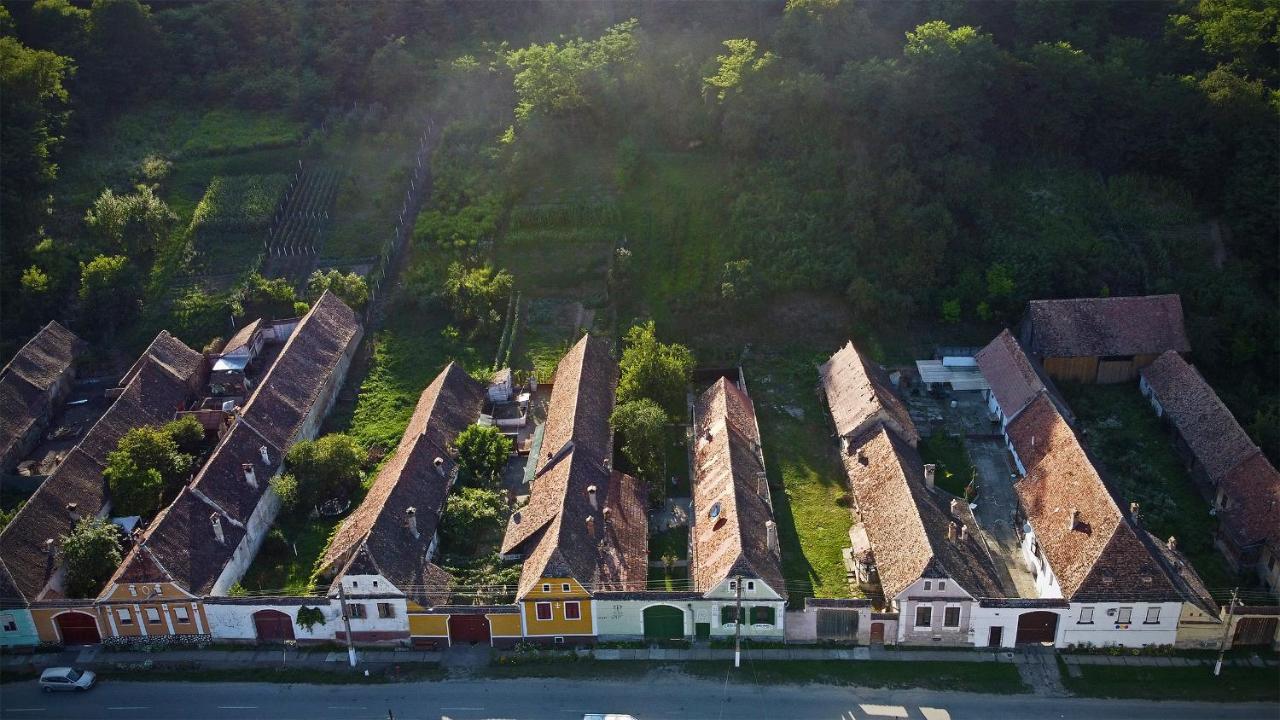 Villa Rihuini Eco Wine House Transylvania Richisu Екстериор снимка