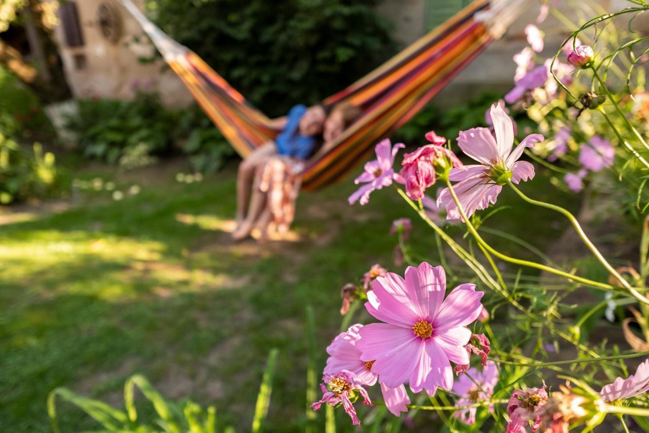 Villa Rihuini Eco Wine House Transylvania Richisu Екстериор снимка