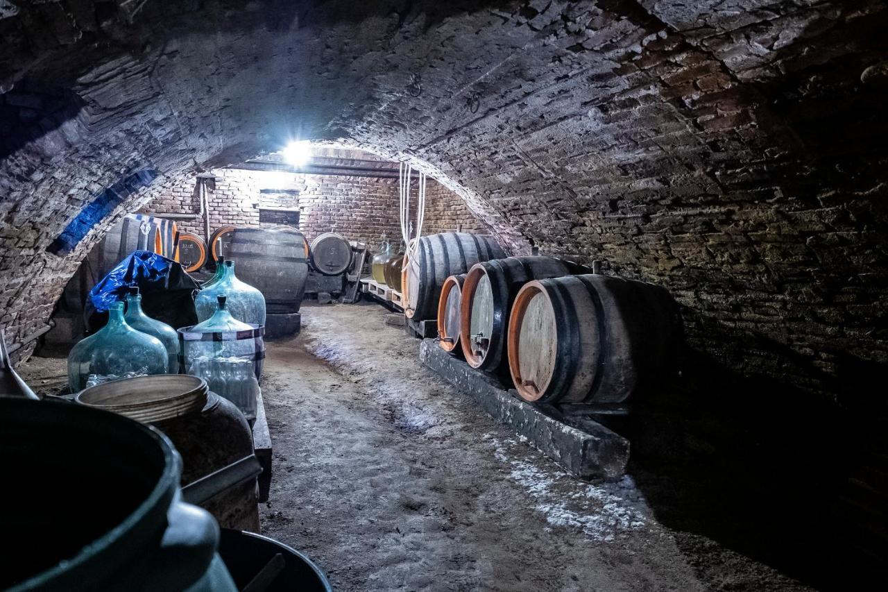 Villa Rihuini Eco Wine House Transylvania Richisu Екстериор снимка