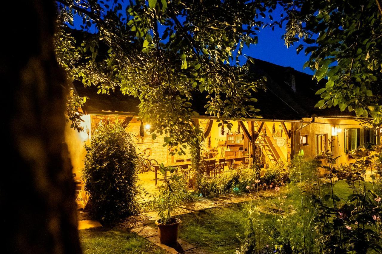 Villa Rihuini Eco Wine House Transylvania Richisu Екстериор снимка