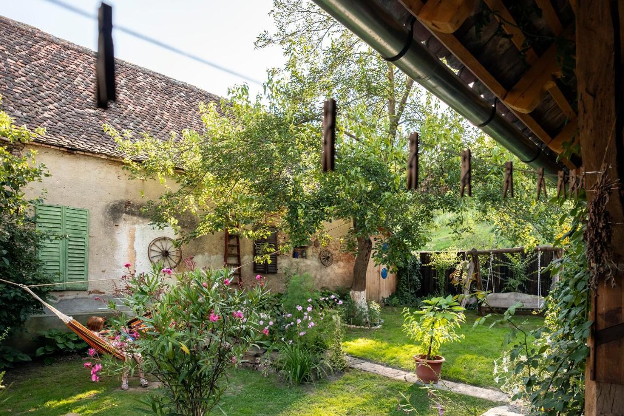 Villa Rihuini Eco Wine House Transylvania Richisu Екстериор снимка