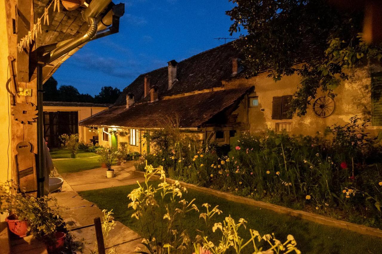 Villa Rihuini Eco Wine House Transylvania Richisu Екстериор снимка
