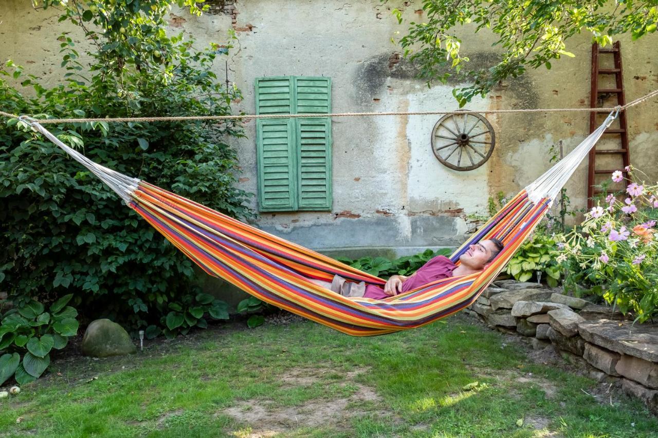 Villa Rihuini Eco Wine House Transylvania Richisu Екстериор снимка
