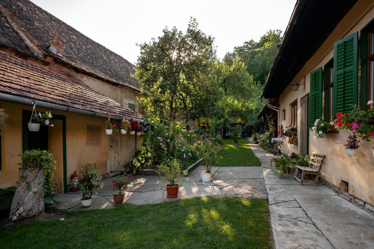 Villa Rihuini Eco Wine House Transylvania Richisu Екстериор снимка