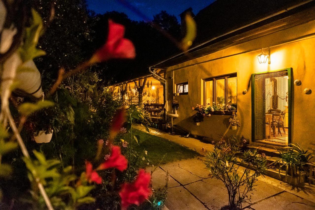 Villa Rihuini Eco Wine House Transylvania Richisu Екстериор снимка