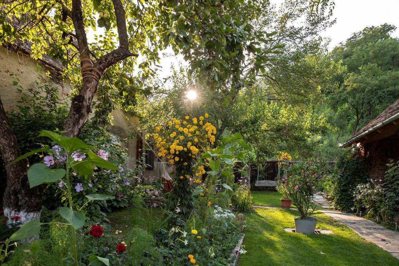 Villa Rihuini Eco Wine House Transylvania Richisu Екстериор снимка