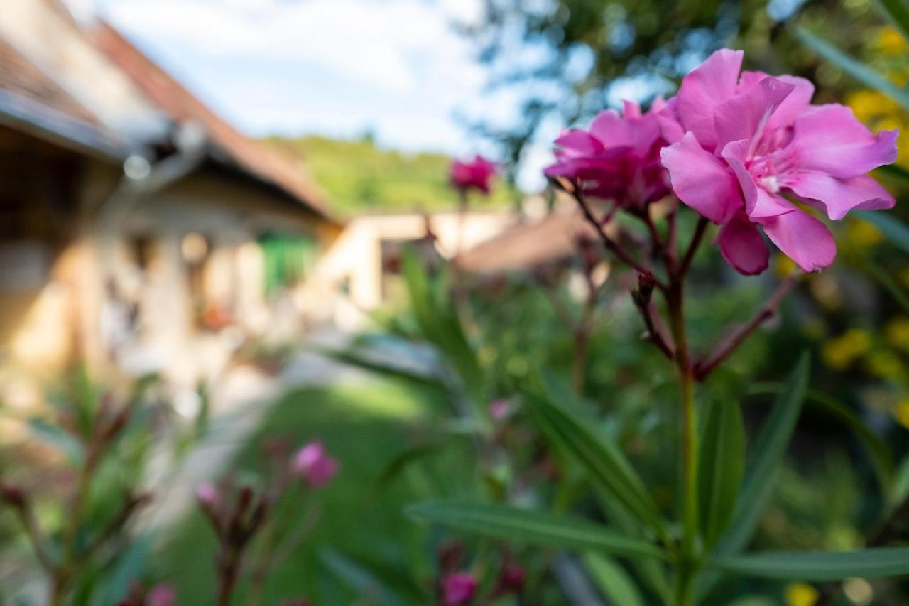 Villa Rihuini Eco Wine House Transylvania Richisu Екстериор снимка