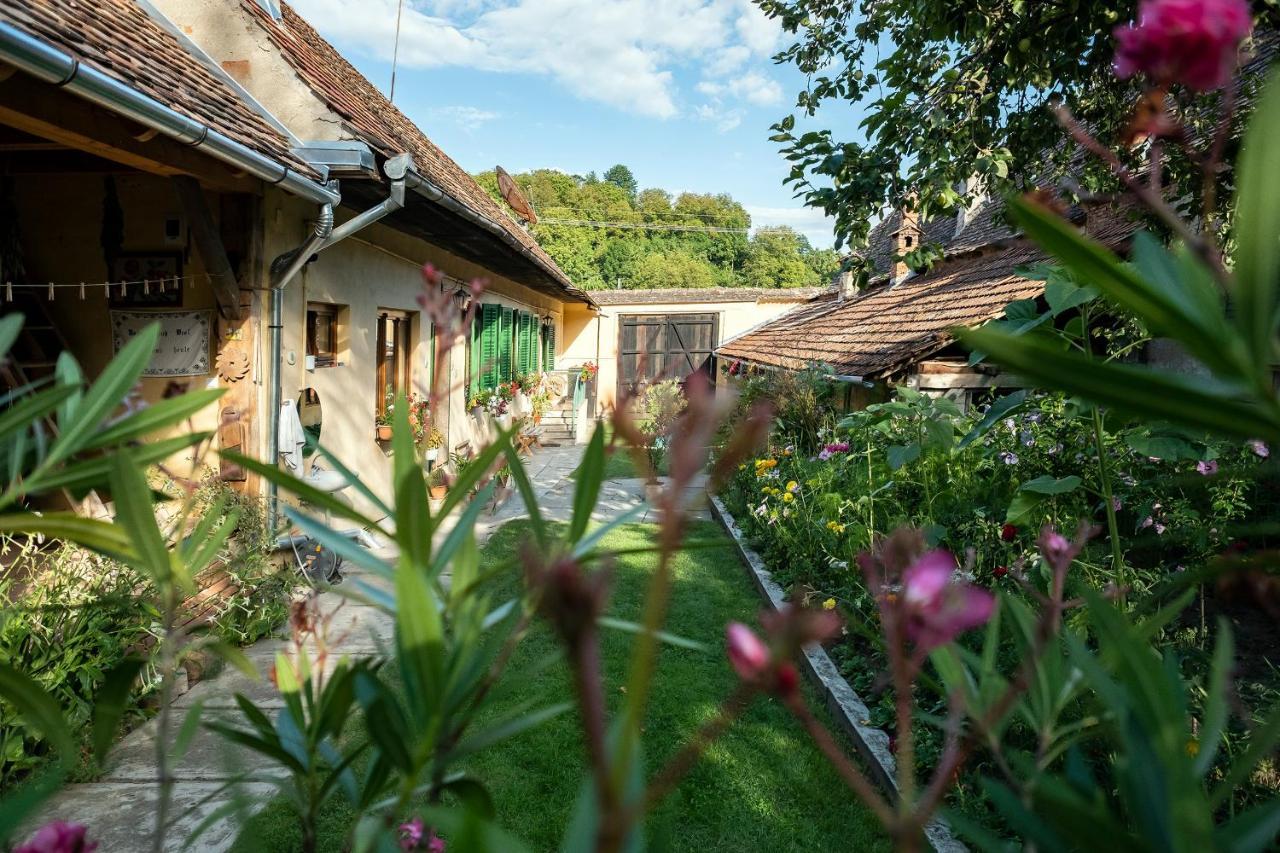 Villa Rihuini Eco Wine House Transylvania Richisu Екстериор снимка