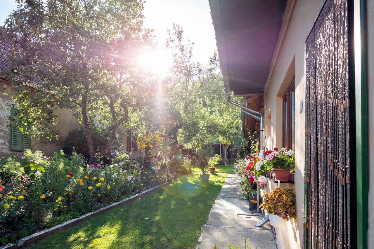 Villa Rihuini Eco Wine House Transylvania Richisu Екстериор снимка