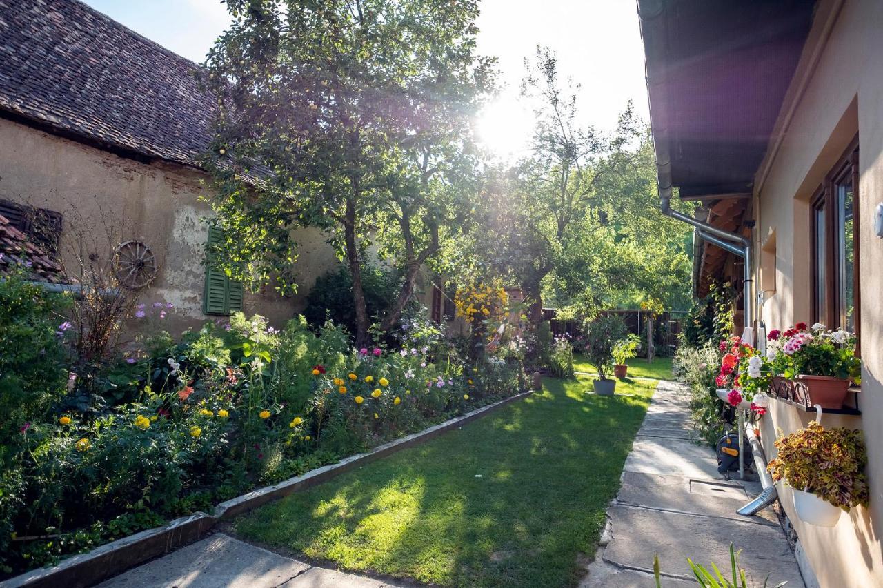 Villa Rihuini Eco Wine House Transylvania Richisu Екстериор снимка