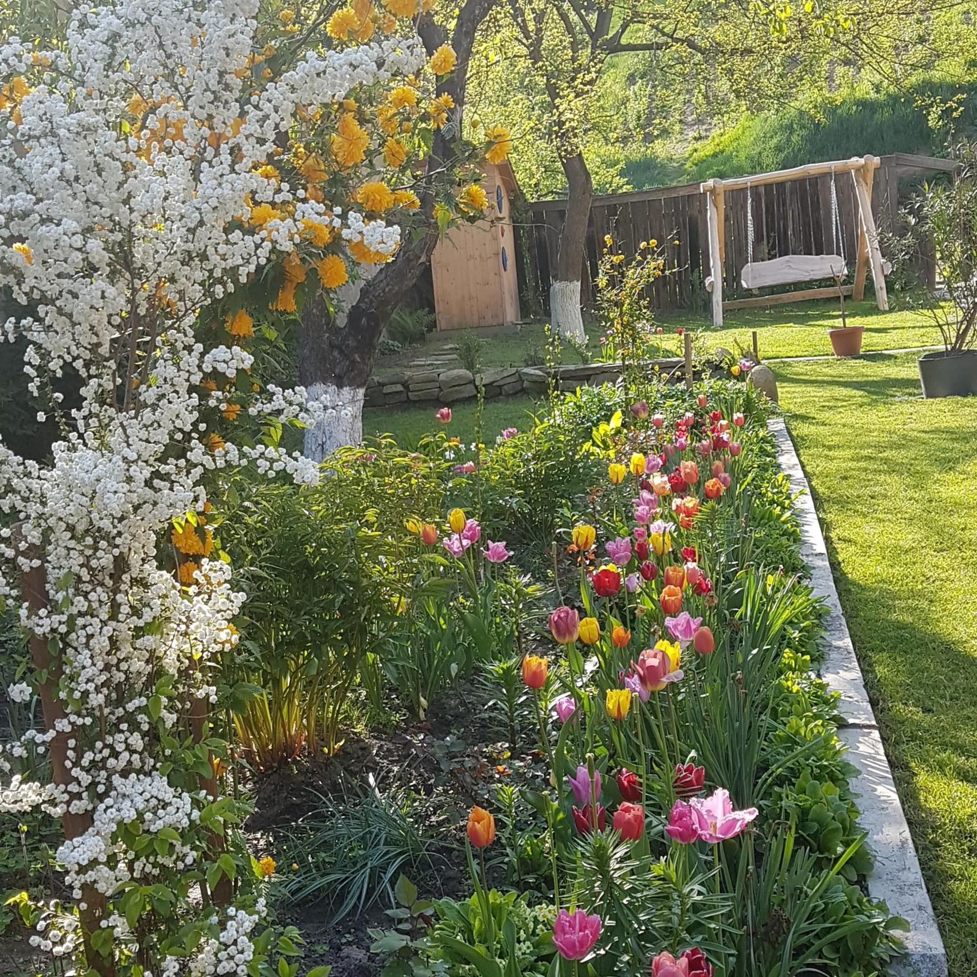 Villa Rihuini Eco Wine House Transylvania Richisu Екстериор снимка